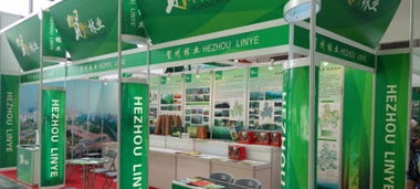 南寧會(huì)展公司 專業(yè)會(huì)展服務(wù)與特裝展廳搭建解決方案